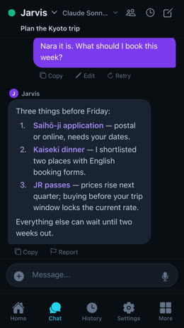 Snippbot Mobile: Chat screen